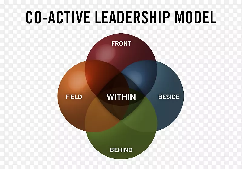协同主动领导：领导职能型领导的五种途径-全球领导-领导的多维模型