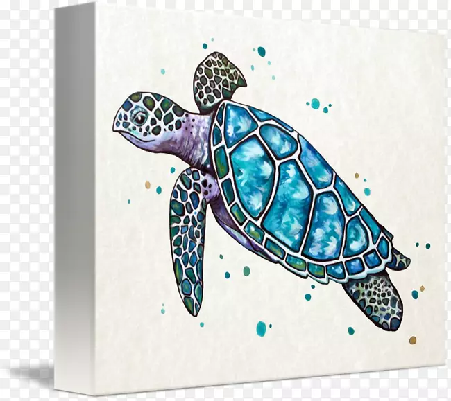 海龟艺术水彩画-海龟