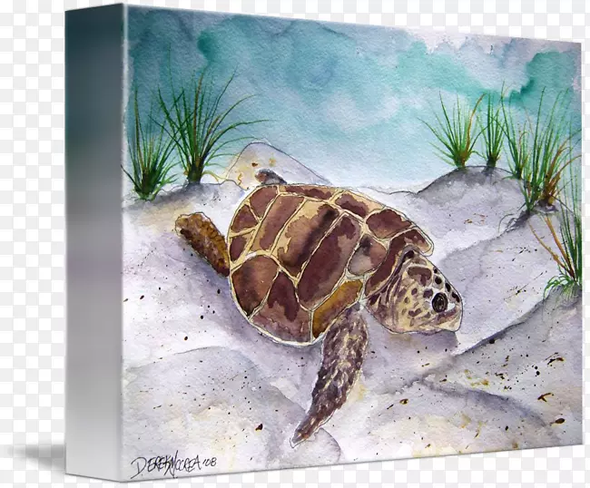 甲鱼水彩画-海龟