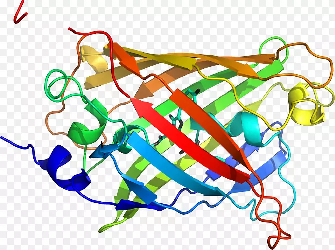 线点生物剪贴画线