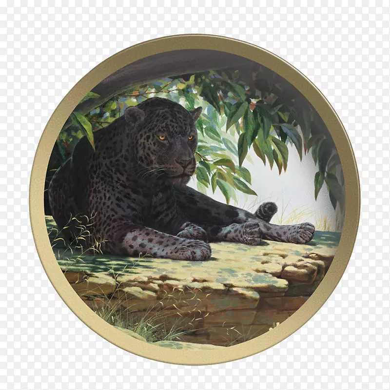 绘画艺术家美洲豹的动物艺术