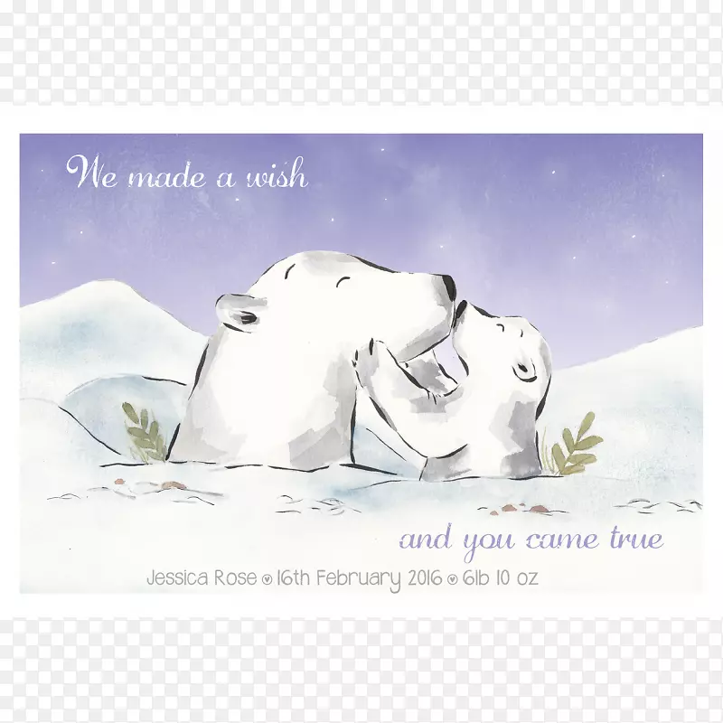 北极熊插图艺术爱尔兰-北极熊