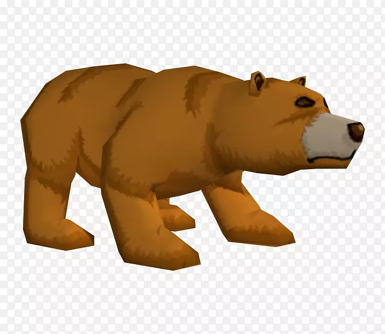 灰熊棕熊鼻子陆地动物熊