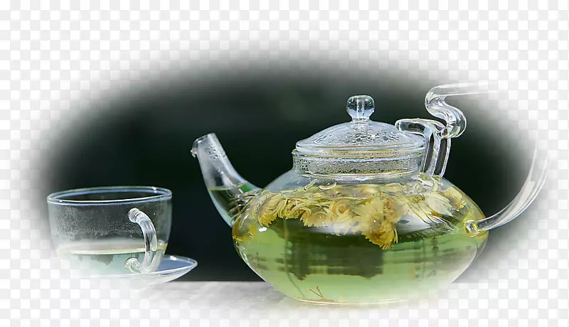 菊花茶，花茶，信阳毛尖茶，饮茶
