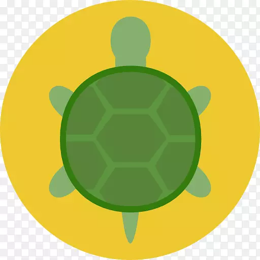 海龟电脑图标乌龟