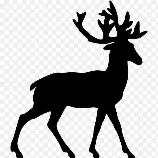 白尾鹿驯鹿夹艺术-黑鹿