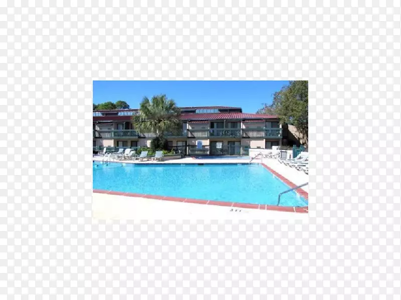 游泳池物业长方形度假-希尔顿酒店和餐厅管理学院