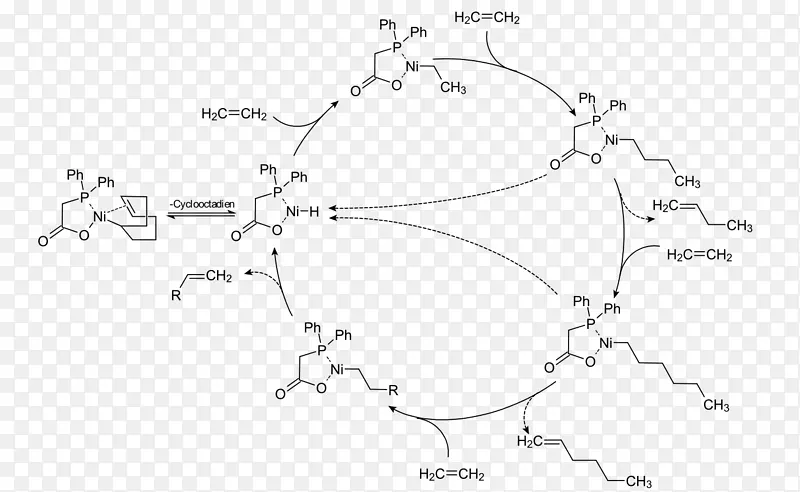 壳高烯烃过程烯烃α-烯烃线性α-烯烃元化-其它