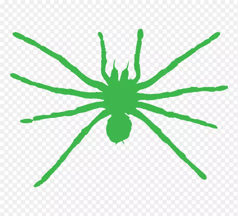 叶蜘蛛茎线夹艺术生物病虫害防治