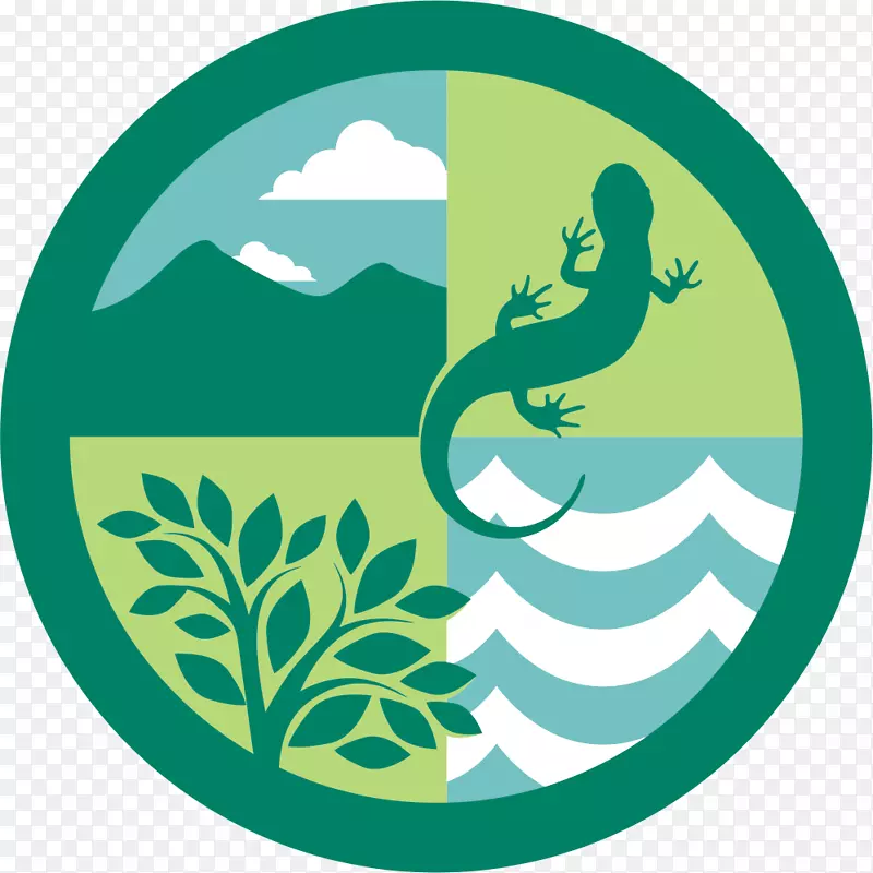 生态森林生态标志自然环境埃杜生态系统