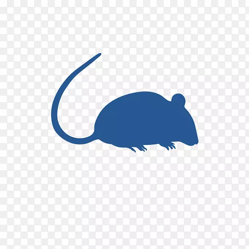 鼠害防治害虫-福尔摩沙地下白蚁