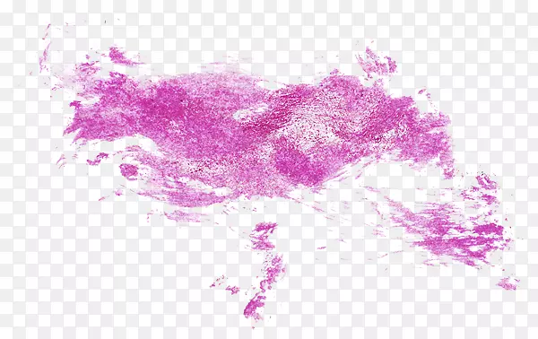 水彩画紫罗兰