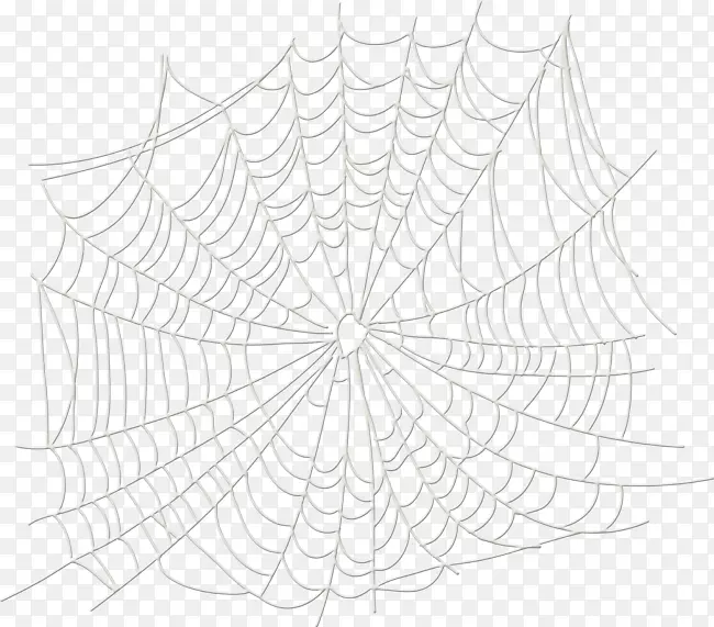 细枝蜘蛛对称白色图案
