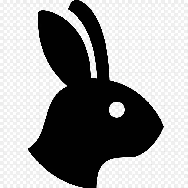 国内兔欧洲兔电脑图标-兔子