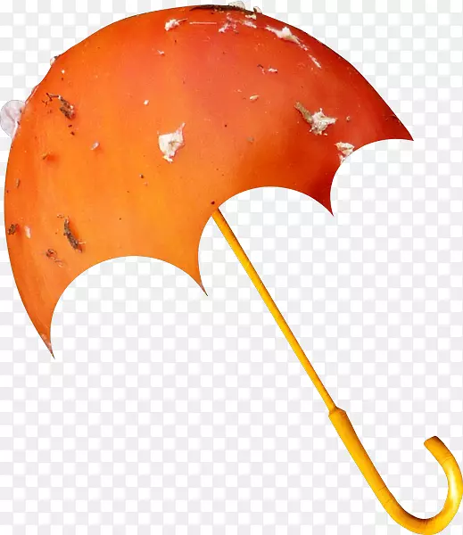 伞橙色剪贴画-伞
