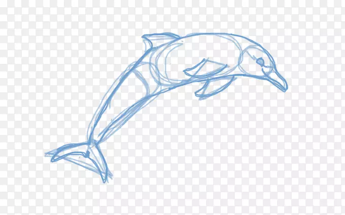 海豚素描-海豚
