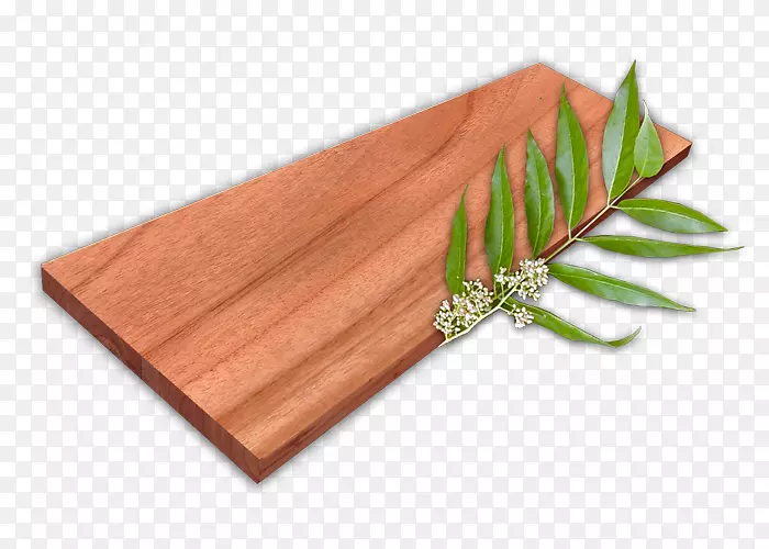 木纸，雪松画板，建筑.木材