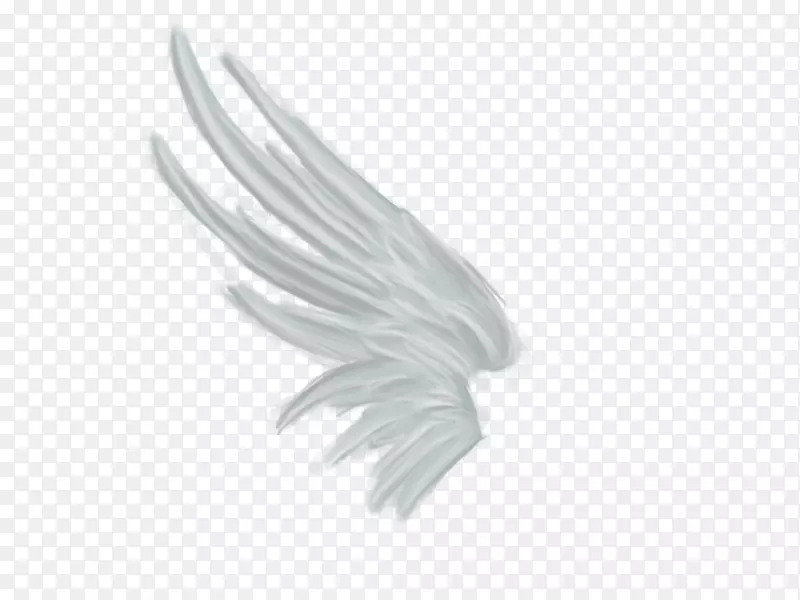 渲染翅膀白色天使-黑色天使