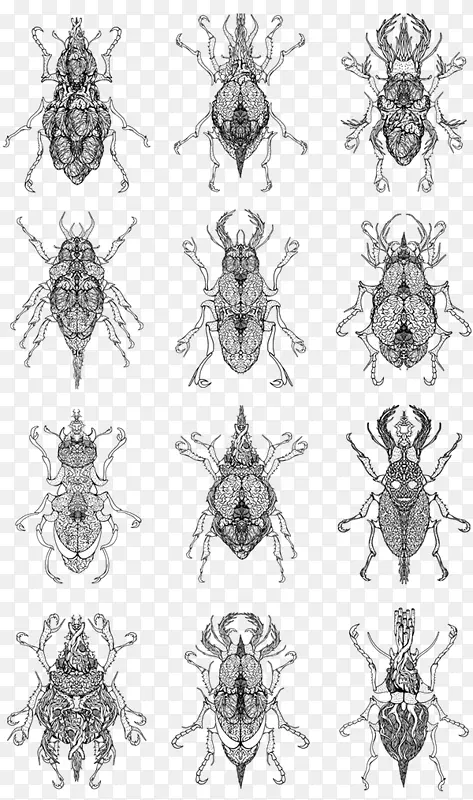 昆虫印刷设计包装设计灵感图案-昆虫