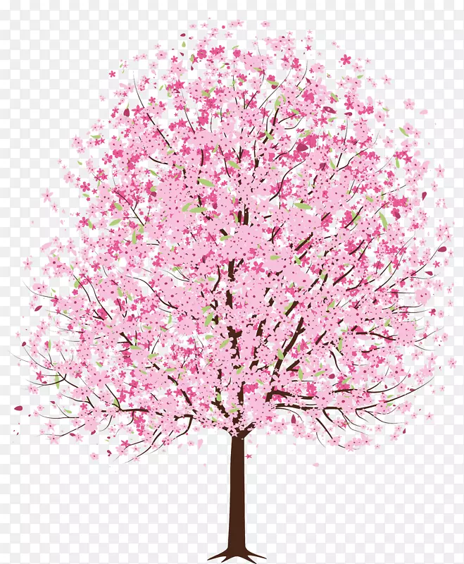 樱花树剪贴画-樱花