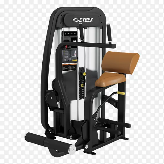 Cybex国际紧身力量训练腹部运动设备