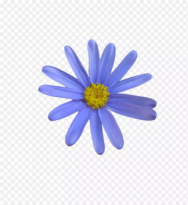 彩色工艺图案-蓝色花