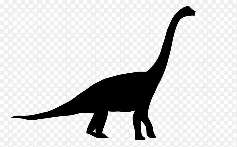 腕龙恐龙尺码-古龙-恐龙