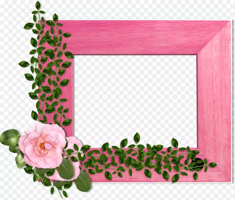 花园玫瑰画框花卉设计花卉摄影.花