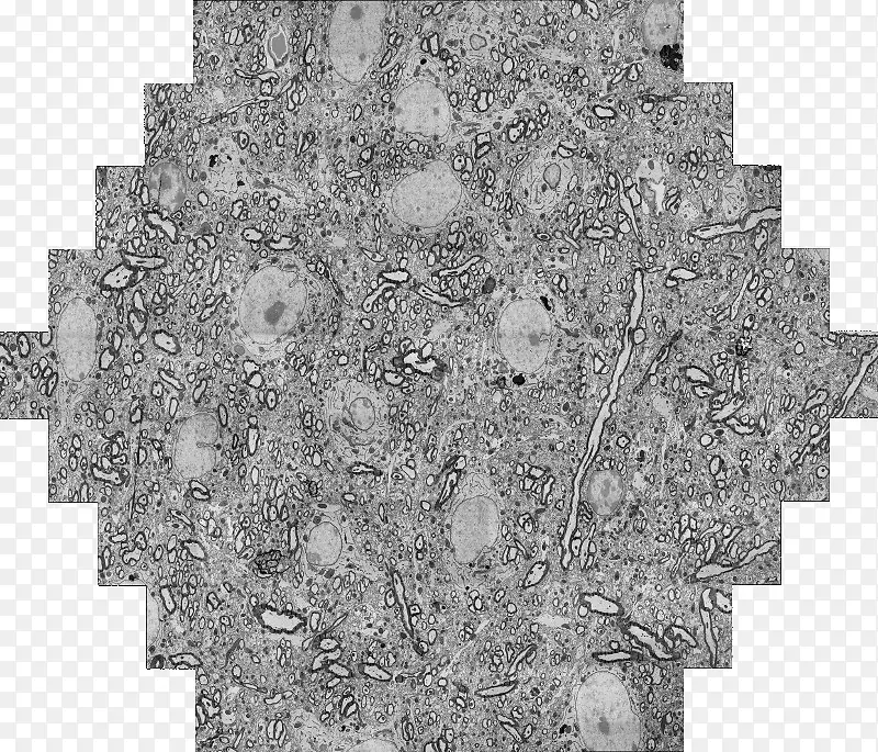 元素周期表化学像素艺术科学