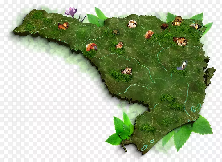 瓜拉米林动物群、生物多样性、生物群落-环境保护