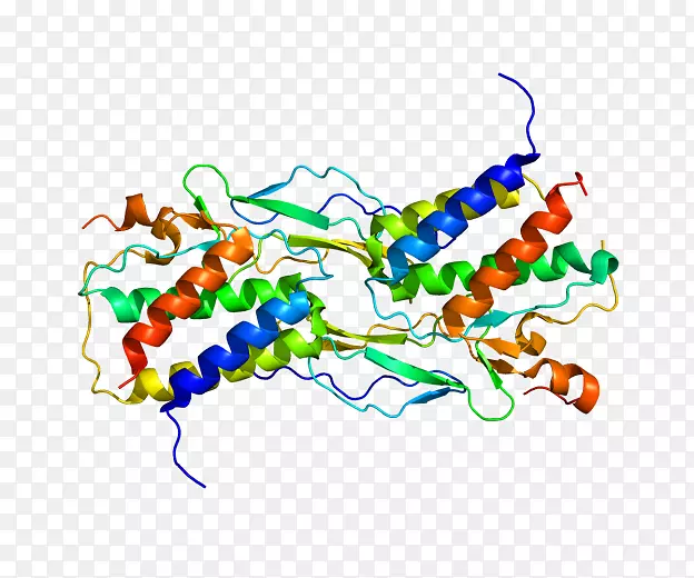 白细胞介素15细胞因子白细胞介素2自然杀伤细胞致病相关蛋白