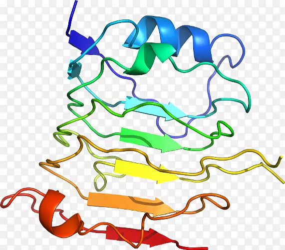 线点生物剪贴画线