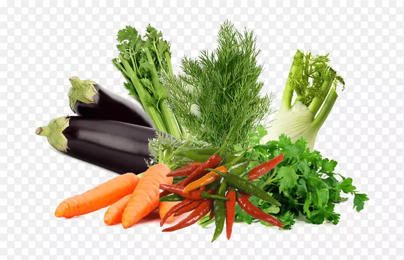叶菜发芽食品草本植物-蔬菜
