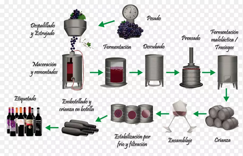 葡萄酒酿造中的白葡萄酒发酵.葡萄酒