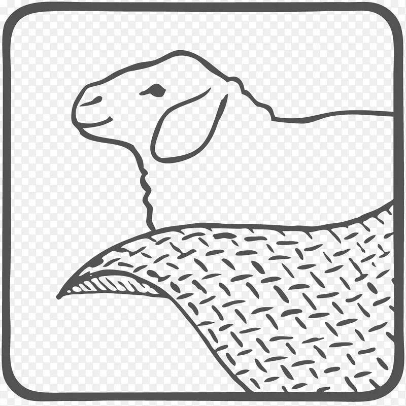 羊毛编织围巾原料耐光性.拉赫米毛厂