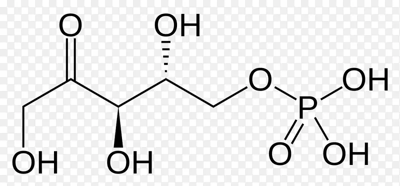 核酮糖1，5-二磷酸核酮糖5-磷酸木糖5-磷酸核糖5-磷酸核酮糖5-磷酸