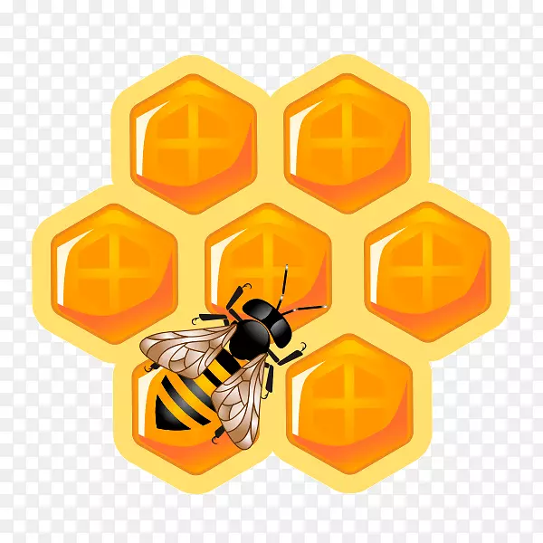蜜蜂蜂巢玛雅蜂巢-蜜蜂