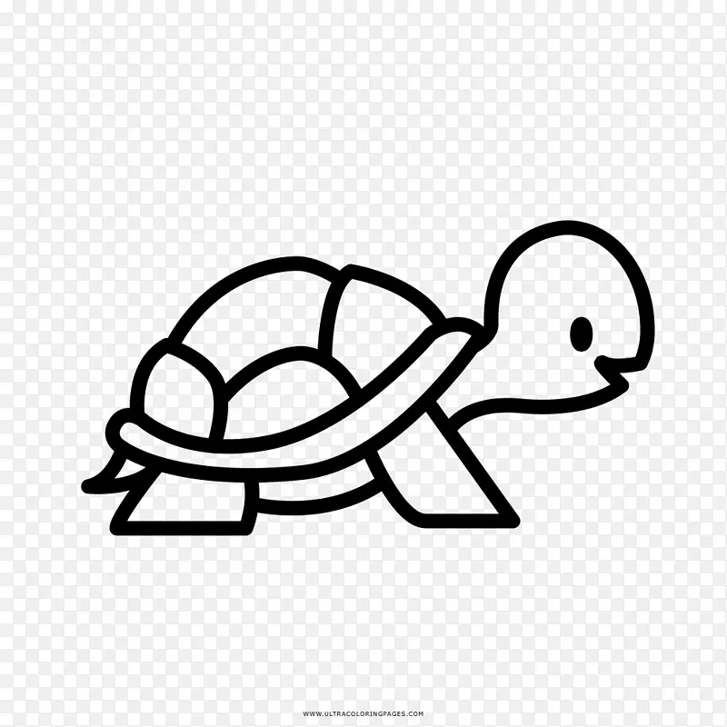 海龟着色书绘图夹艺术-海龟