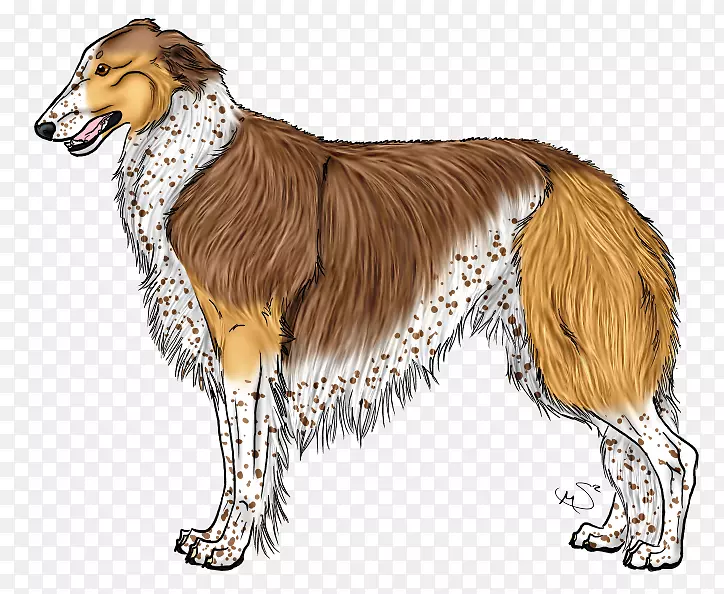 博尔佐伊丝质猎犬萨鲁基长犬品种-阿扎特犬