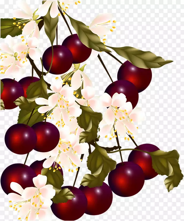 甜樱桃浆果樱桃