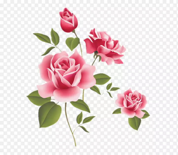 玫瑰粉红桌面壁纸夹艺术-玫瑰