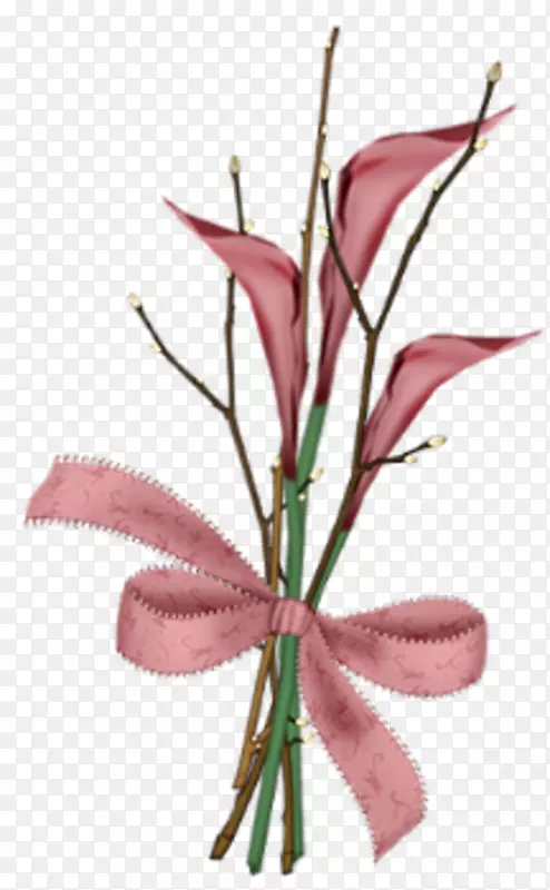 花卉设计切花植物茎粉红色m设计