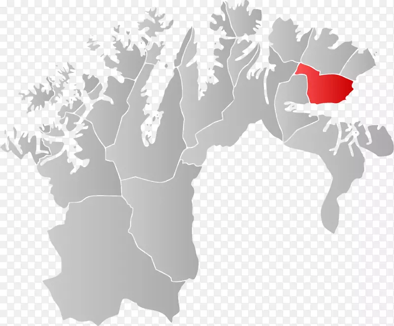 Hammerfest kvalsund Kautokeino nesseby loppa-第24中队RSAF