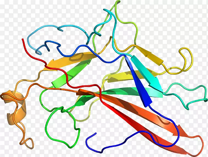 线点生物剪贴画线