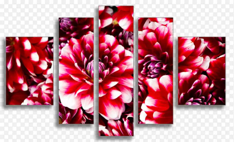 花卉设计贺卡艺术海报字体设计