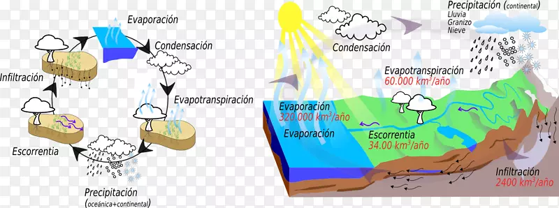 水资源平衡水资源水文水循环-水