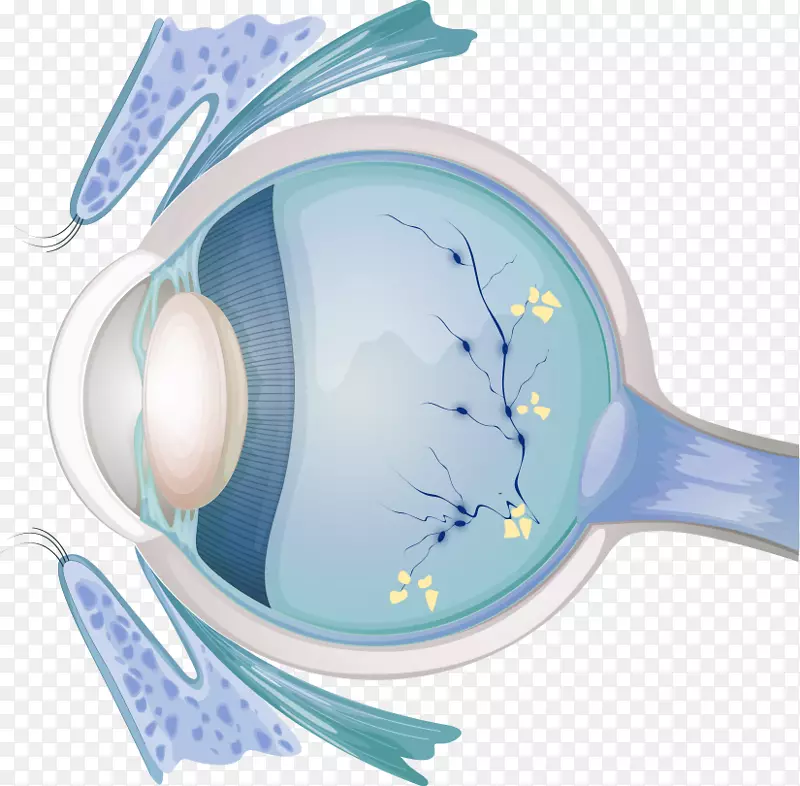 眼科检查糖尿病视网膜病变视力-眼睛
