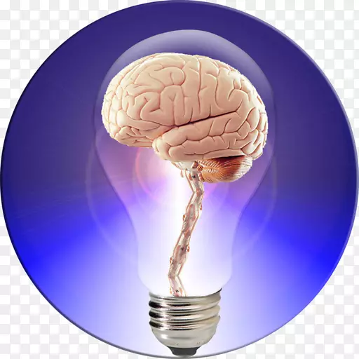 人的大脑投射出你的大脑能量-大脑书-大脑