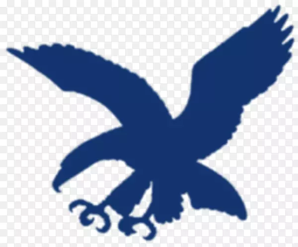 阿德涅诺蓝鹰马尼拉大学阿杜女士蓝尖牙蓝鹰健身房拉萨莱尔大学墨水鹰