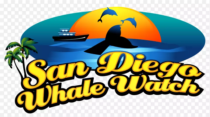 圣地亚哥鲸鱼观察鲸鱼在圣迭戈鲸鱼做的事情